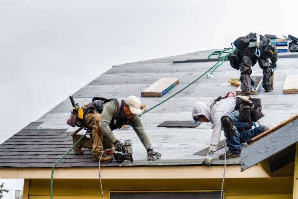 Professional Roofing technician working in Hamilton, VA